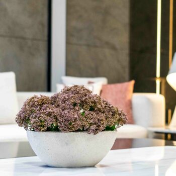 Composition blossom purple pot pierre H 29cm