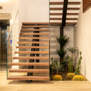 Golden Barrel Cactus H 20cm / H 30cm – Image 2