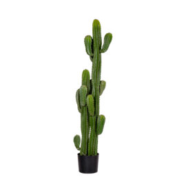 Cactus Saguaro H 131cm