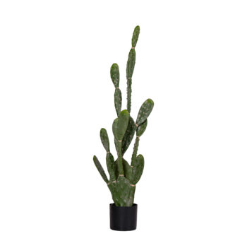 Cactus H 82cm / H 106cm