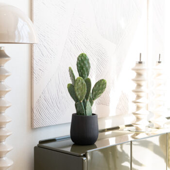 Cactus H 62cm / H 82cm / H 106cm