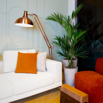 Kentia Palm H 210cm – Image 3