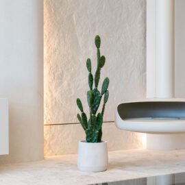 Cactus H 82cm / H 106cm