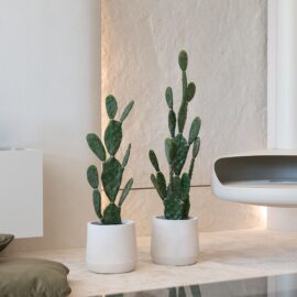 Cactus H 82cm / H 106cm