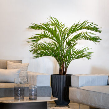 Palmier tropical H 210cm – Image 3
