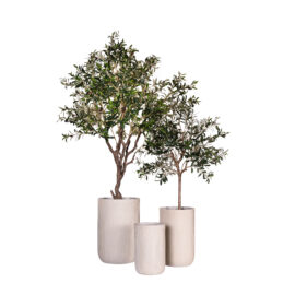 Pot élancé antique beige à rainures