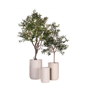 Pot élancé antique beige à rainures