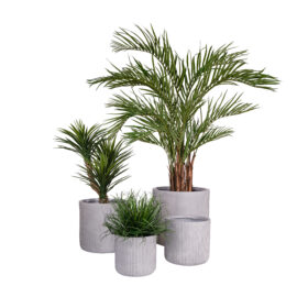 Pot œuf gris à rainures