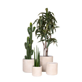 Pot œuf antique beige finition brute