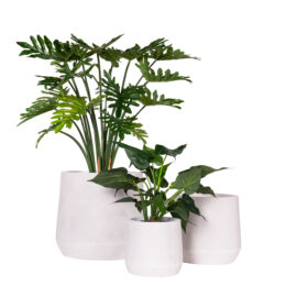 Pot Mica blanc finition brute