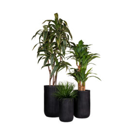 Pot élancé noir à rainures