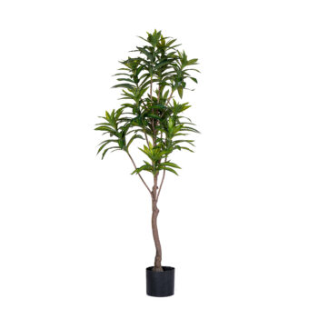 Lilly H 135cm / H 180cm