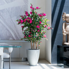 Arbre Bougainvillier H 185cm
