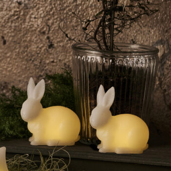 Elin, set de 2 Lapins lumineux