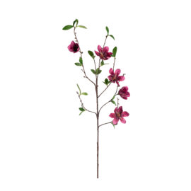Magnolia mauve H 94cm