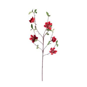 magnolia rouge H 94cm