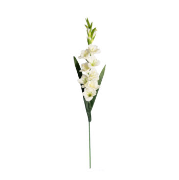 Gladious crème H 101cm