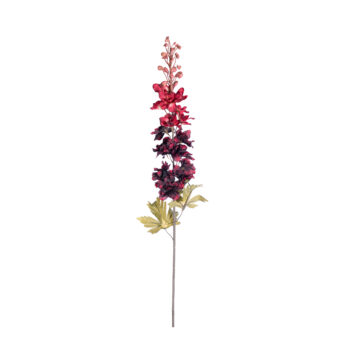 Delphinium rouge bordeaux H 79cm