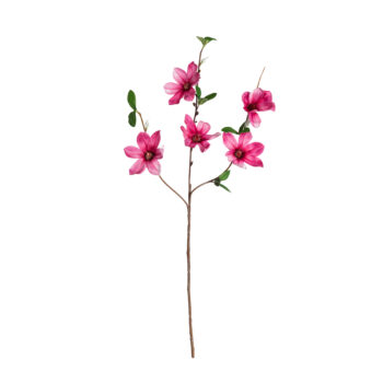 Magnolia rose H 64cm
