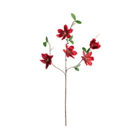 magnolia rouge H 64cm