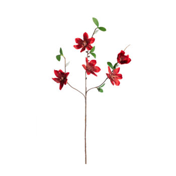 magnolia rouge H 64cm