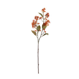 Vibrunum Tinus orange H 58cm
