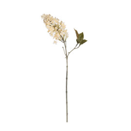 Lilac crème H 63cm