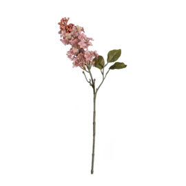 Lilac rose H 63cm