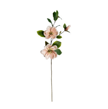 Magnolia crème H 84cm