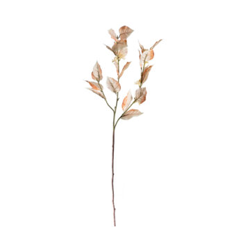 Eucalyptus creme H 84cm