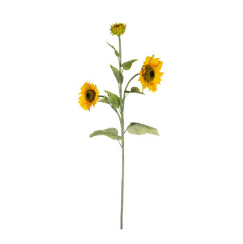 Tournesol H 130 cm
