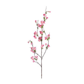 CHERRY BLOSSOM H 133cm
