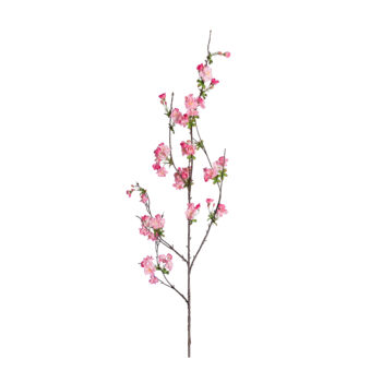 CHERRY BLOSSOM H 133cm
