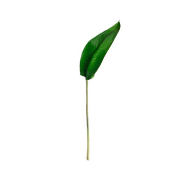 Feuille tropicale H 108cm