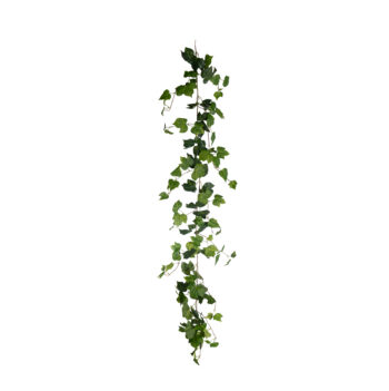 Guirlande de lierre H 170cm