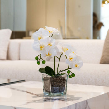 Composition ALMA H 43cm, D 28cm