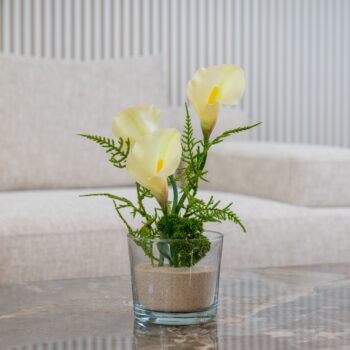 Composition CARIÑO H 38cm, D 25cm