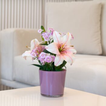 Composition STELLA H 30cm, D 18cm