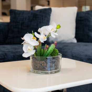 Composition GIO H 23cm, D 24cm