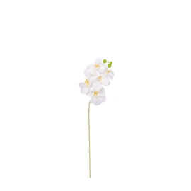 Orchidée artificielle H 78cm