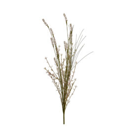 Fleurs des champs