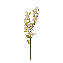 Fleur de pommier