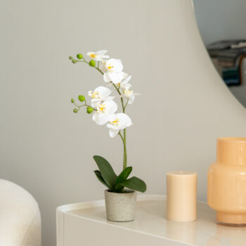 Orchidée artificielle à 2 hampes H 45 cm