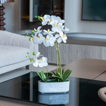 Orchidée Arc en ciel H55 cm – Image 3