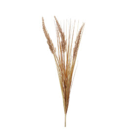 Blé marron