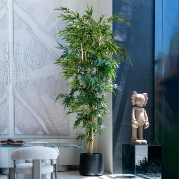 Bambou géant H 300cm