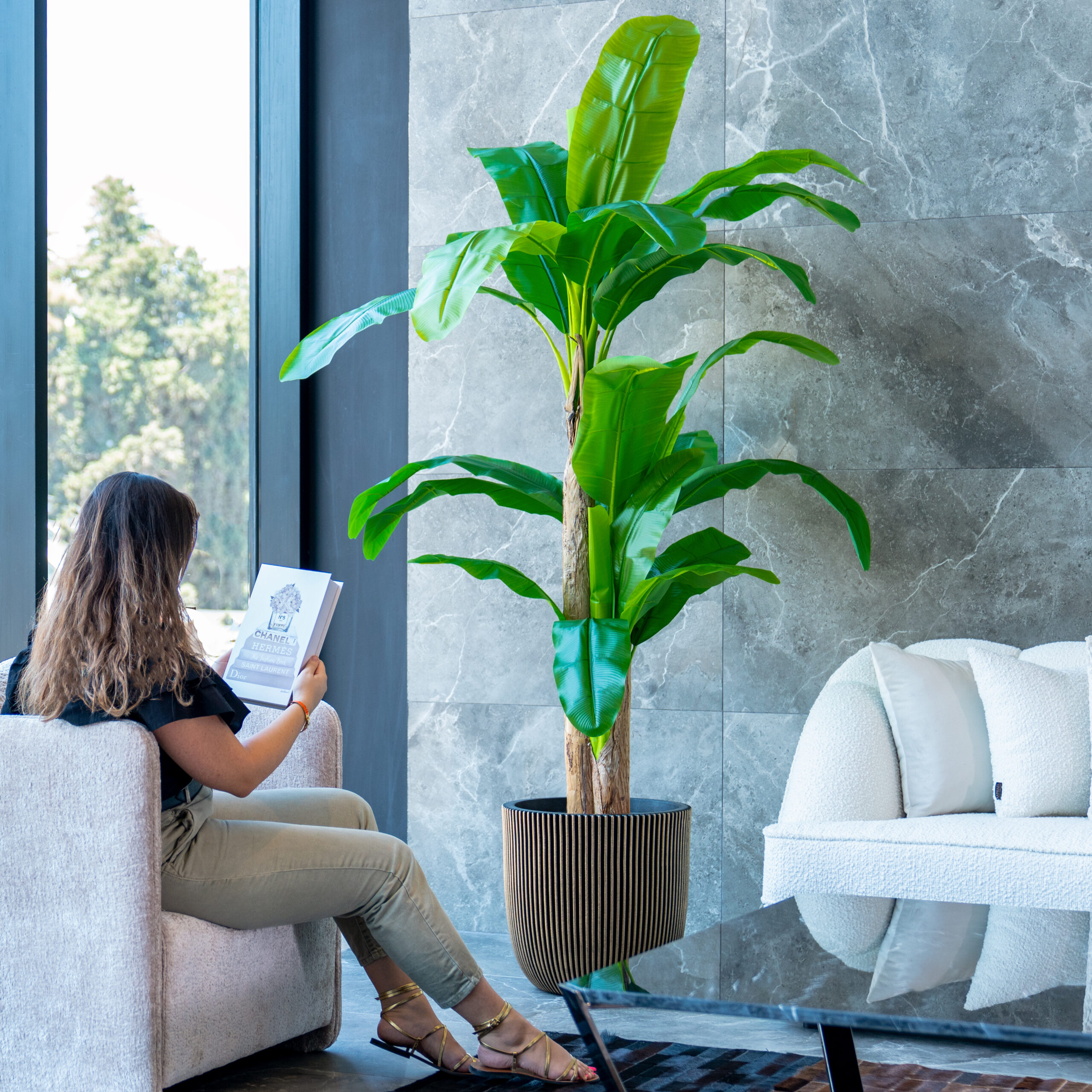 1012017 Bananier – Image 3