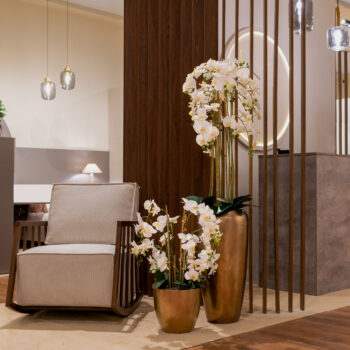 Orchidée à 12 hampes H 86cm – Image 3