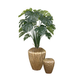 Pot High Kaktia shiny gold