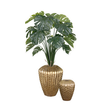 Pot High Kaktia shiny gold